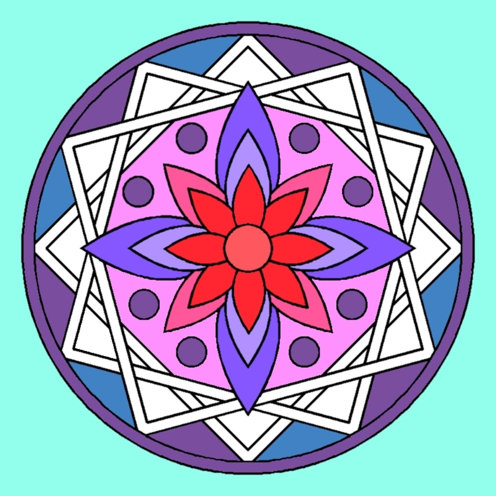 Bundle for Hiedi